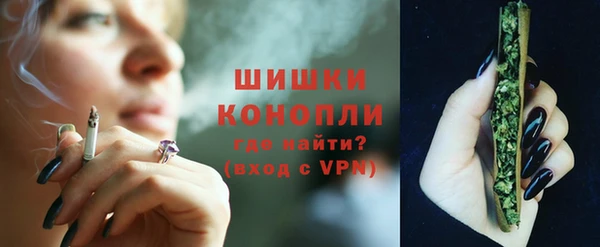 ГАЛЛЮЦИНОГЕННЫЕ ГРИБЫ Беломорск