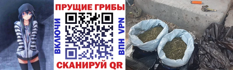 Псилоцибиновые грибы мухоморы  Ершов 